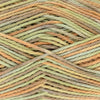 Cottonsoft Crystal DK